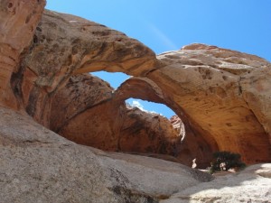 Arch in Capitol Reef National Park