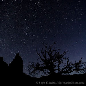 Capitol Reef National Park, Utah. USA. Constellation Orion, meteor,  and other stars above Chimney Rock and juniper snag. Colorado Plateau.