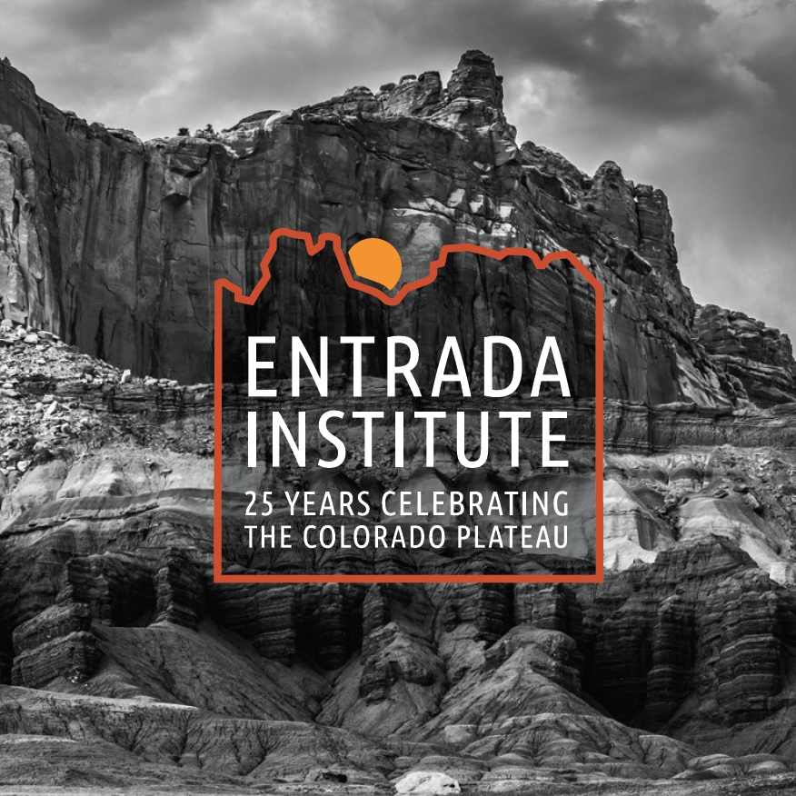 Entrada Institute Logo Image